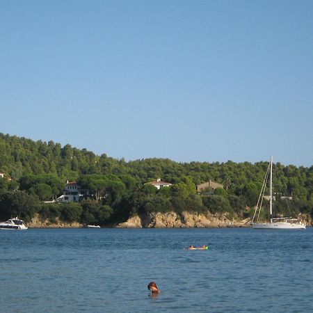 Palatino Studios Agia Paraskevi  Exteriér fotografie