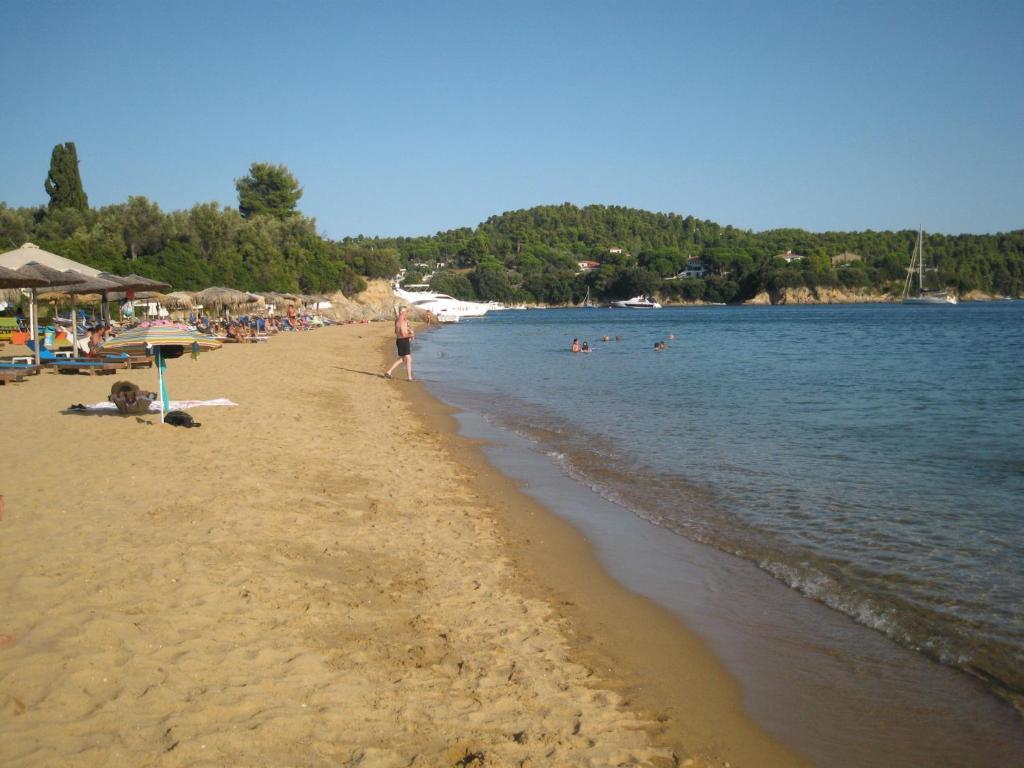 Palatino Studios Agia Paraskevi  Exteriér fotografie