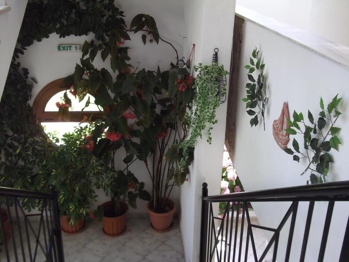 Palatino Studios Agia Paraskevi  Exteriér fotografie