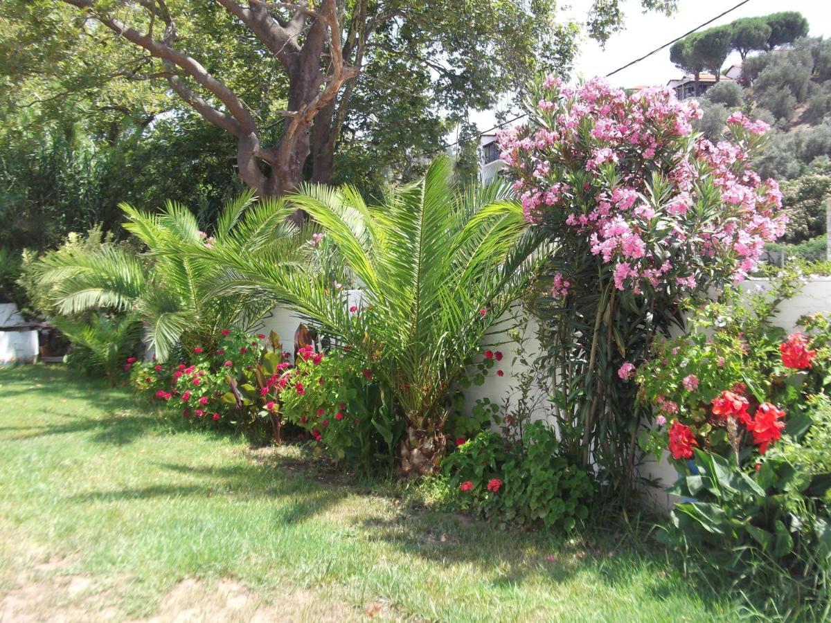 Palatino Studios Agia Paraskevi  Exteriér fotografie